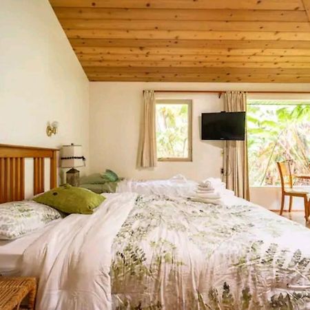 ボルケーノKilauea Iki- Hale Kumu La'Auアパートメント 部屋 写真
