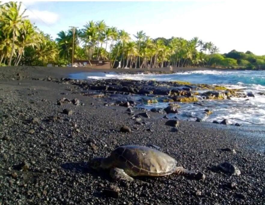 ボルケーノKilauea Iki- Hale Kumu La'Auアパートメント エクステリア 写真
