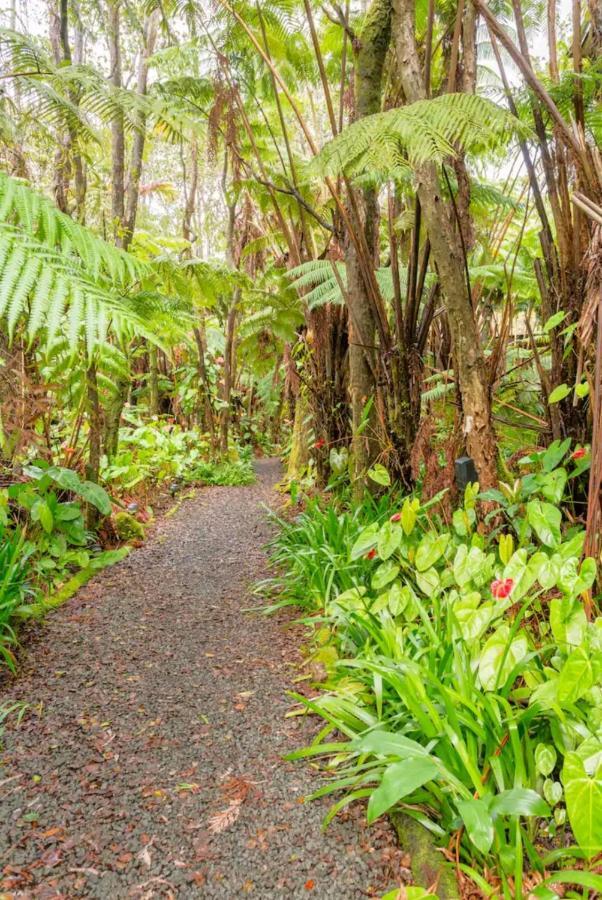 ボルケーノKilauea Iki- Hale Kumu La'Auアパートメント エクステリア 写真